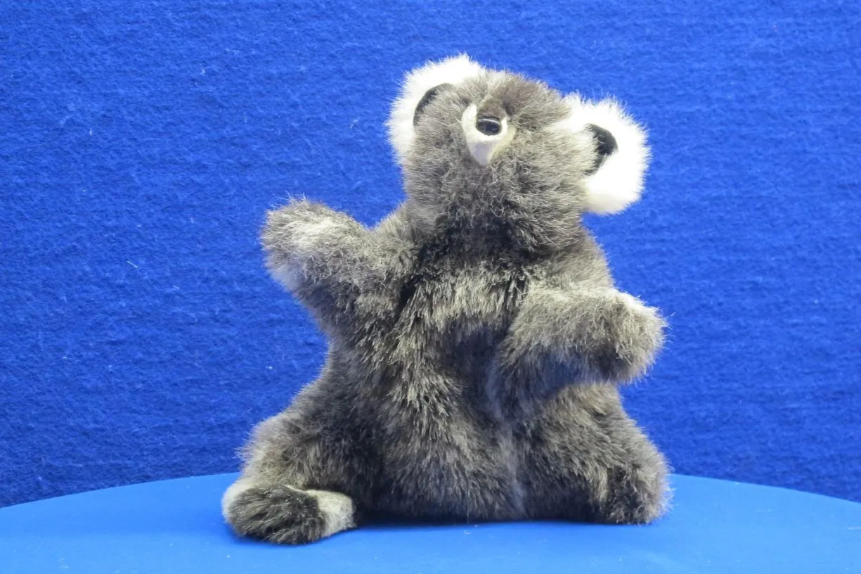 Sprechpuppe Willi de Waschbär