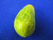 Frucht Avocado