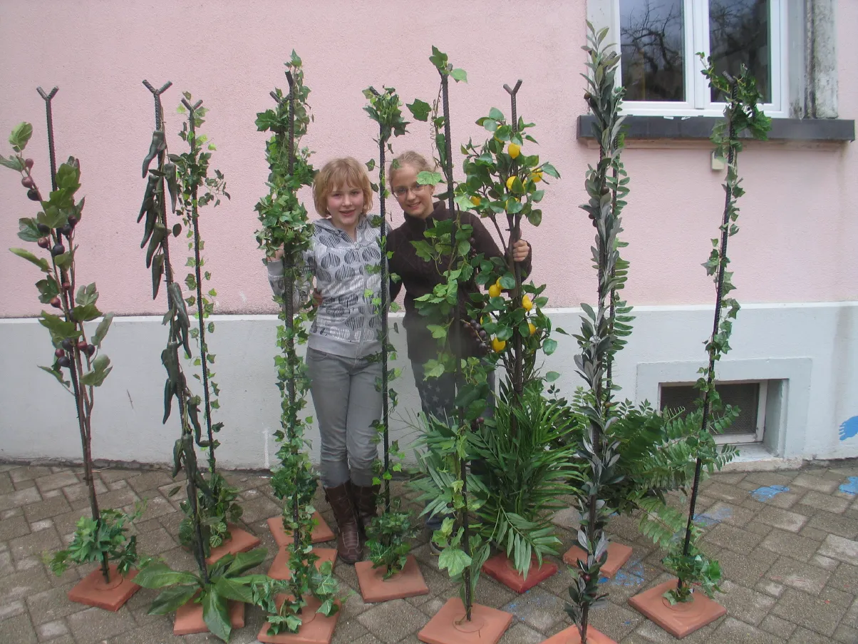 Ranken Pflanzen grün