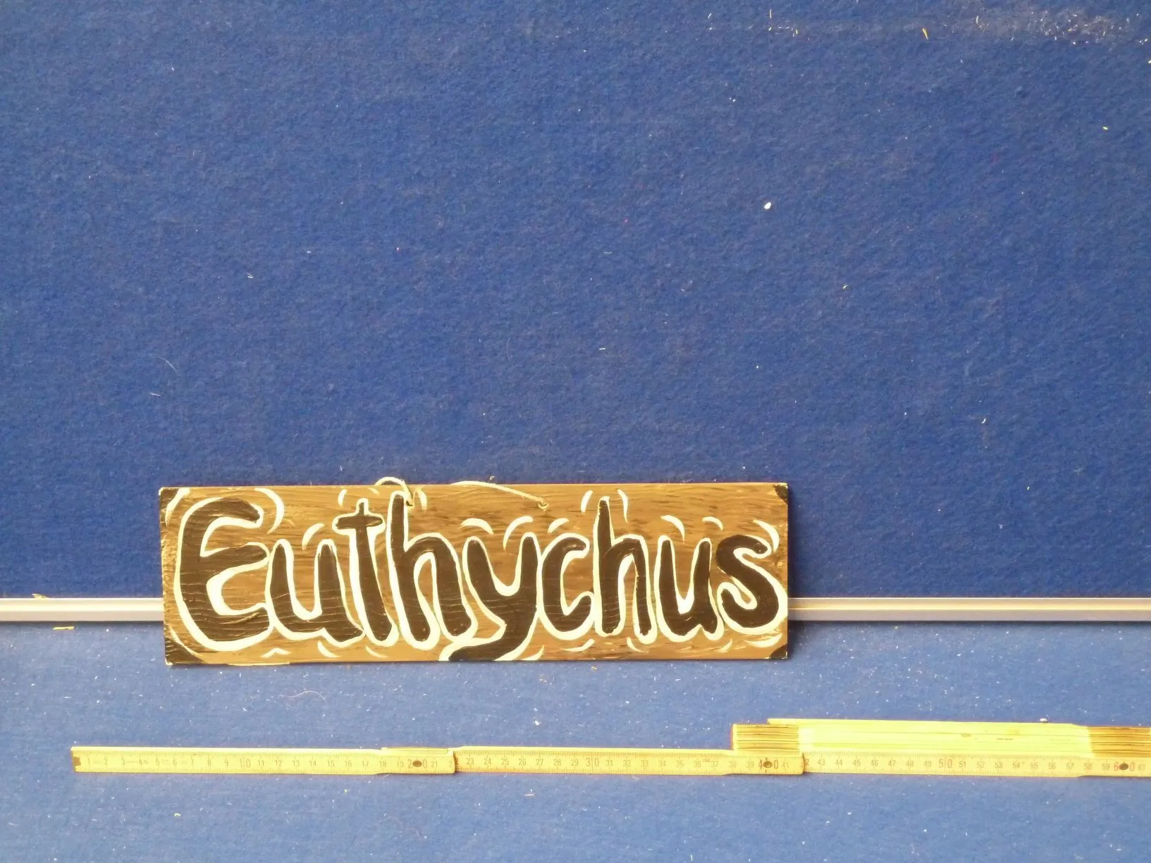 Euthychus / Ort Tafel Paulus
