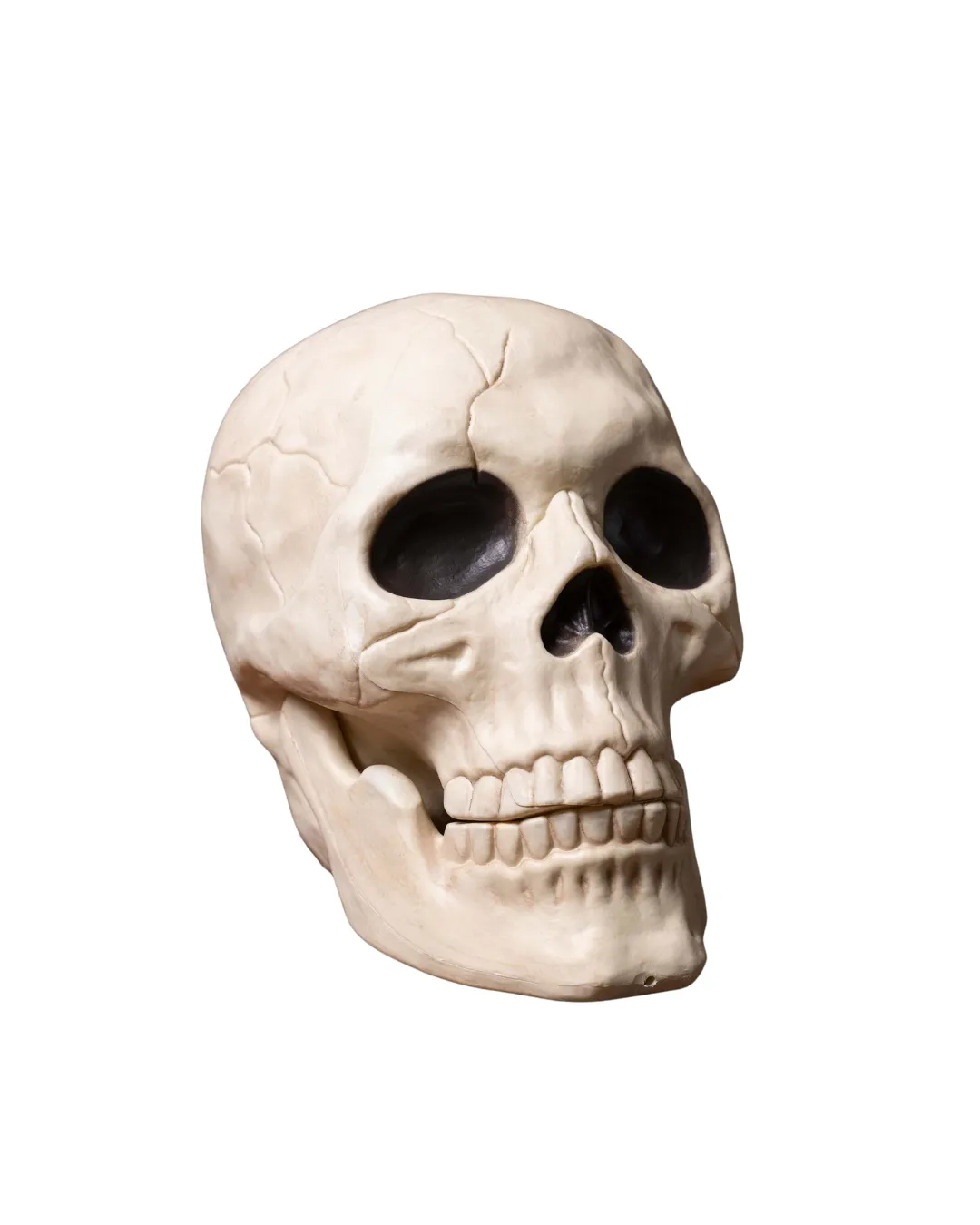 Halloween Decor & Props