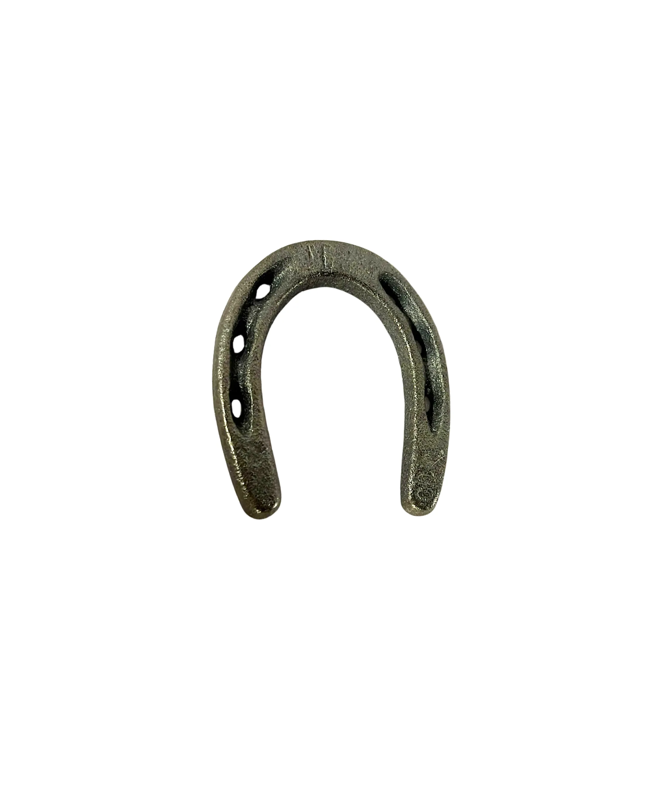 Silver Horseshoe