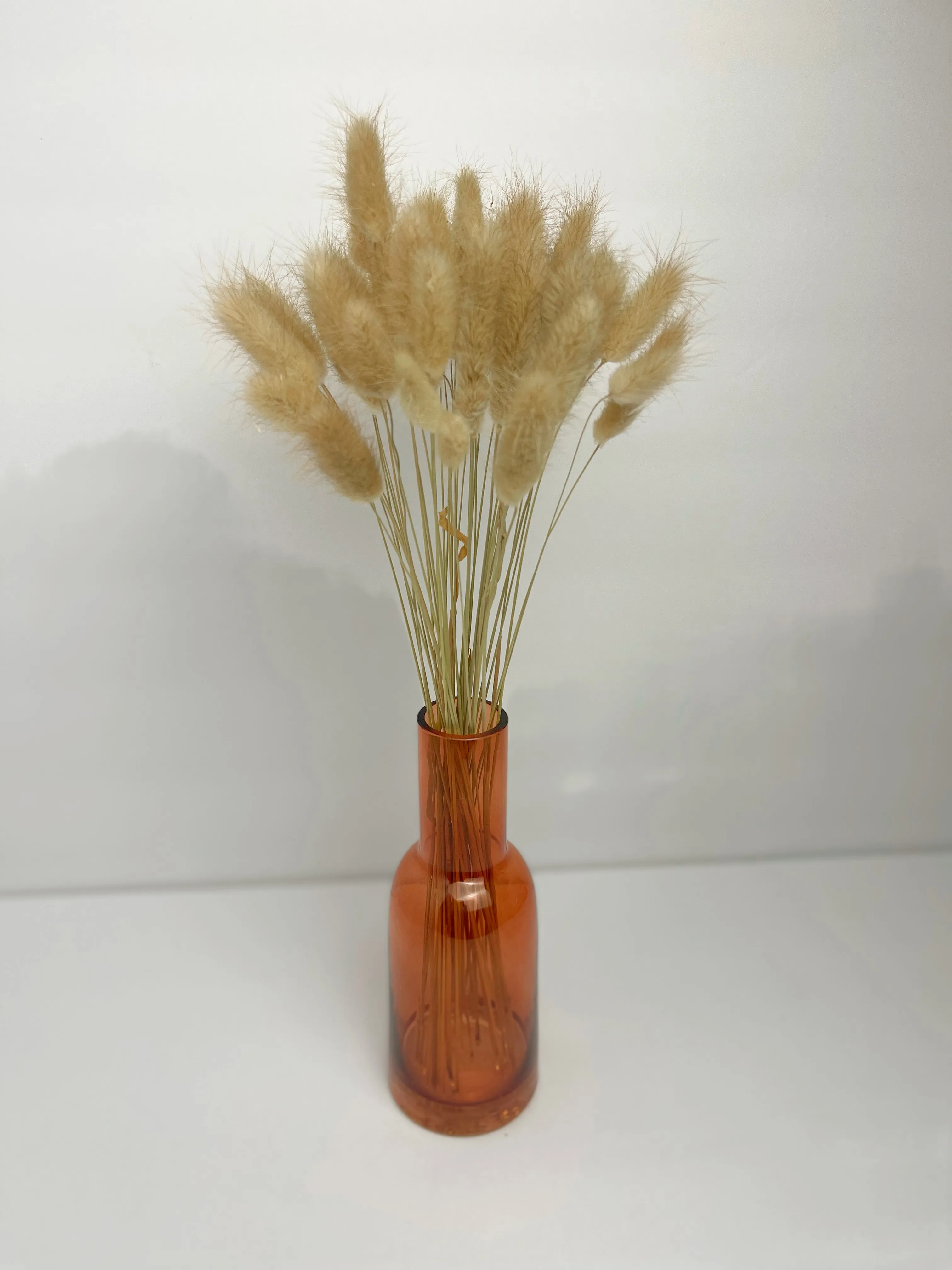 Amber Vase Dried Bunny Tails