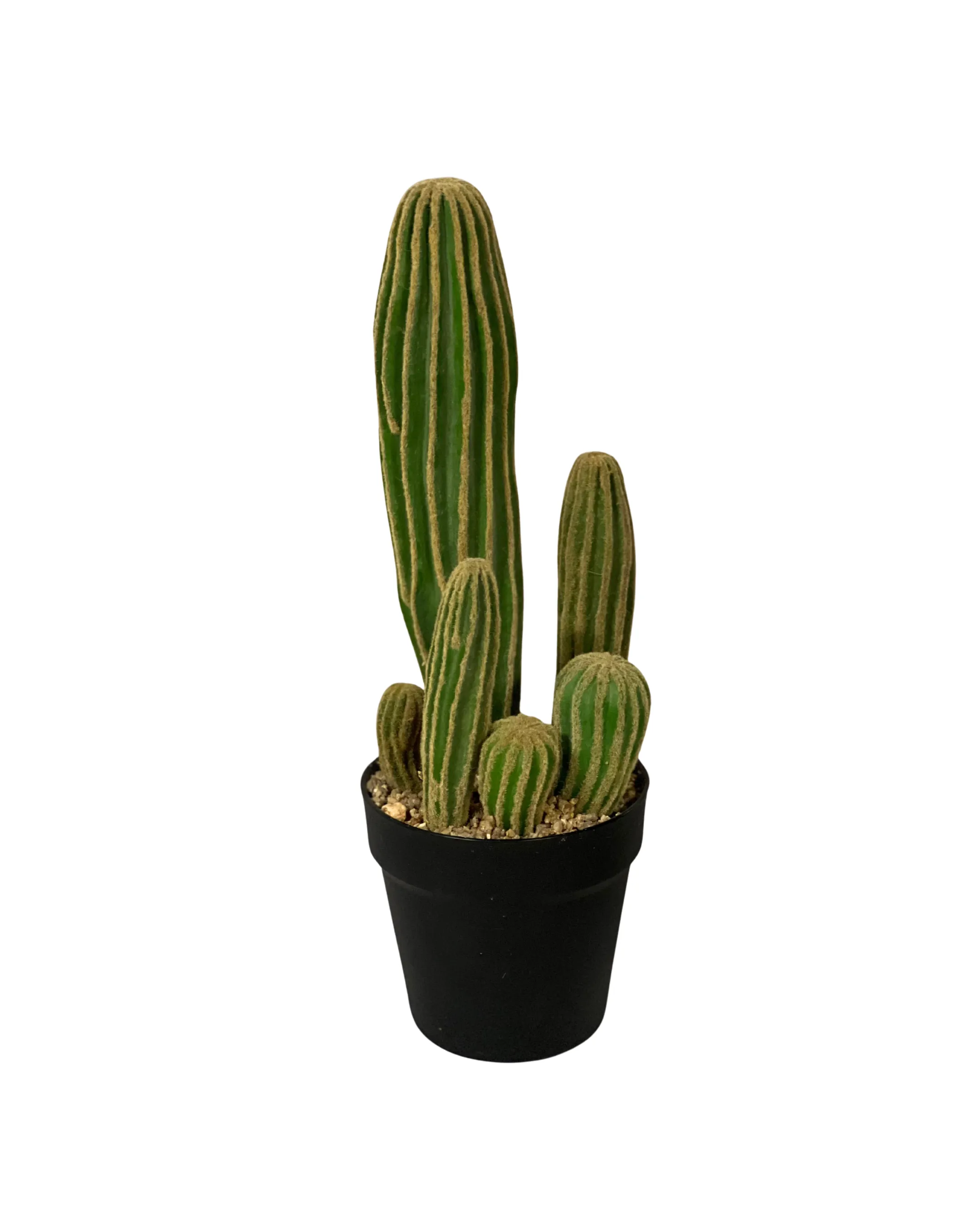 Western Sedona Cactus Planter