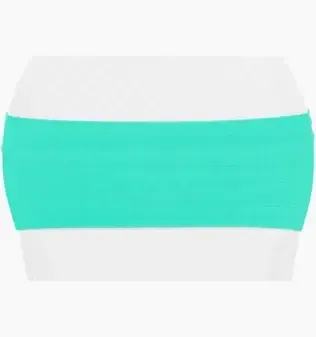 Turquoise Spandex Chair Band