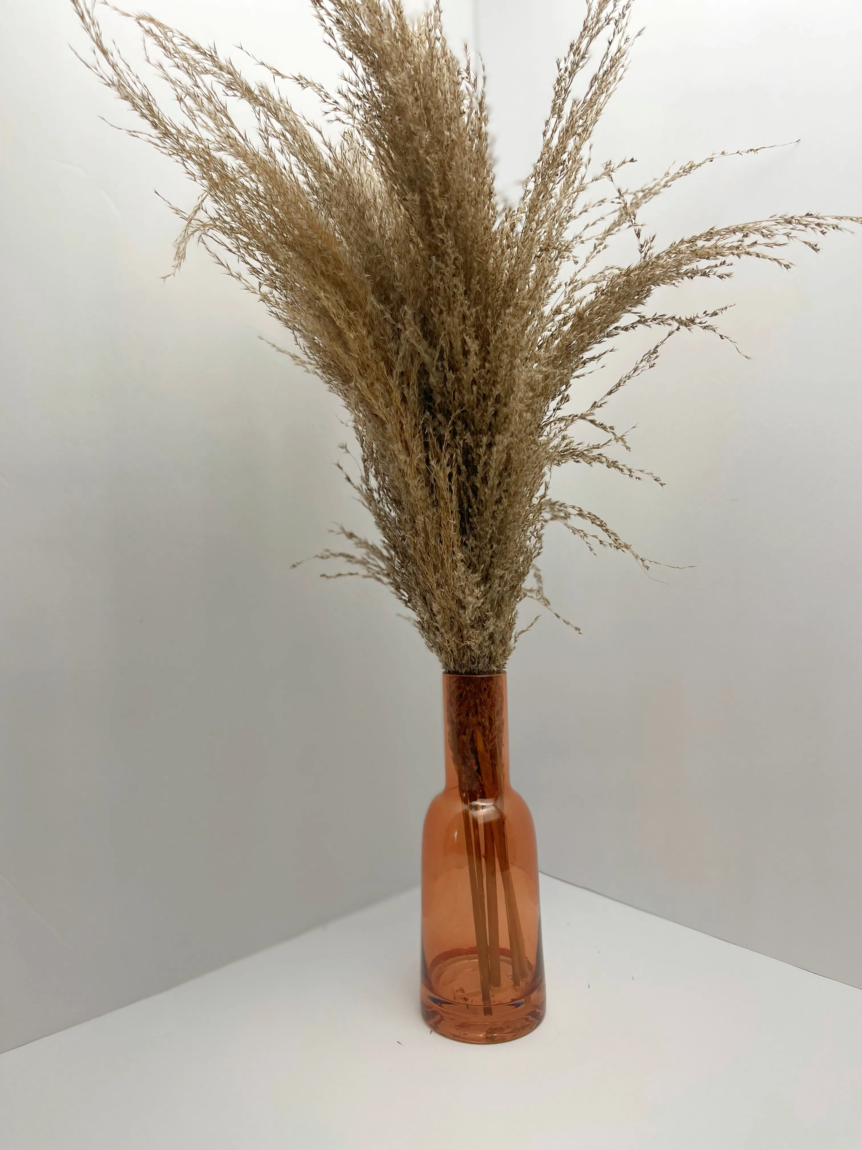 Natural Dried Pampas in Amber Bottle 