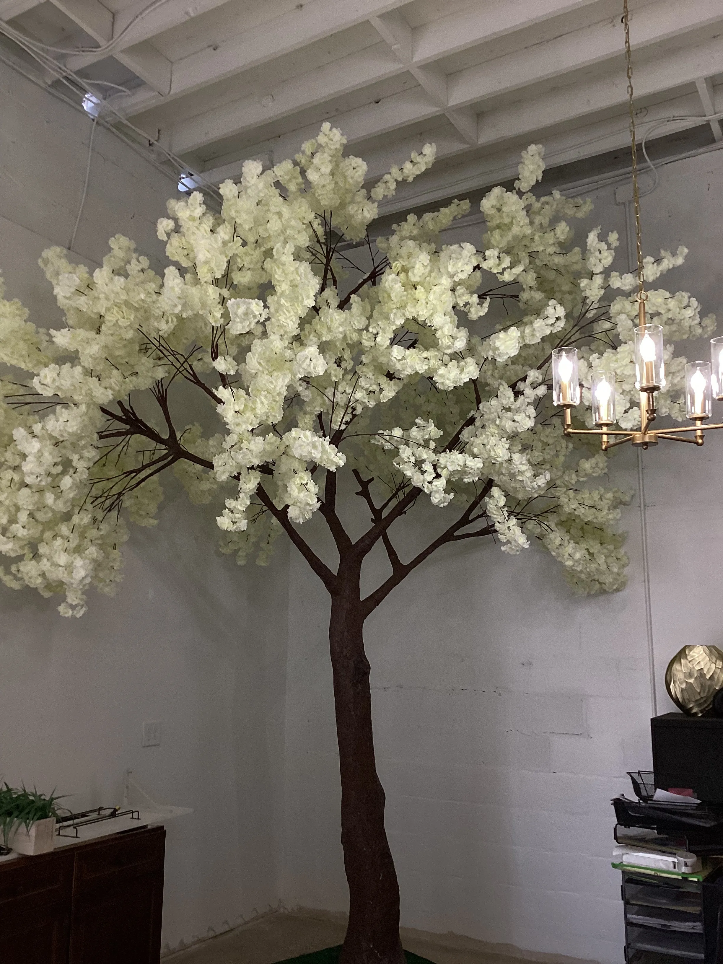 16ft Cherry Blossom Tree White