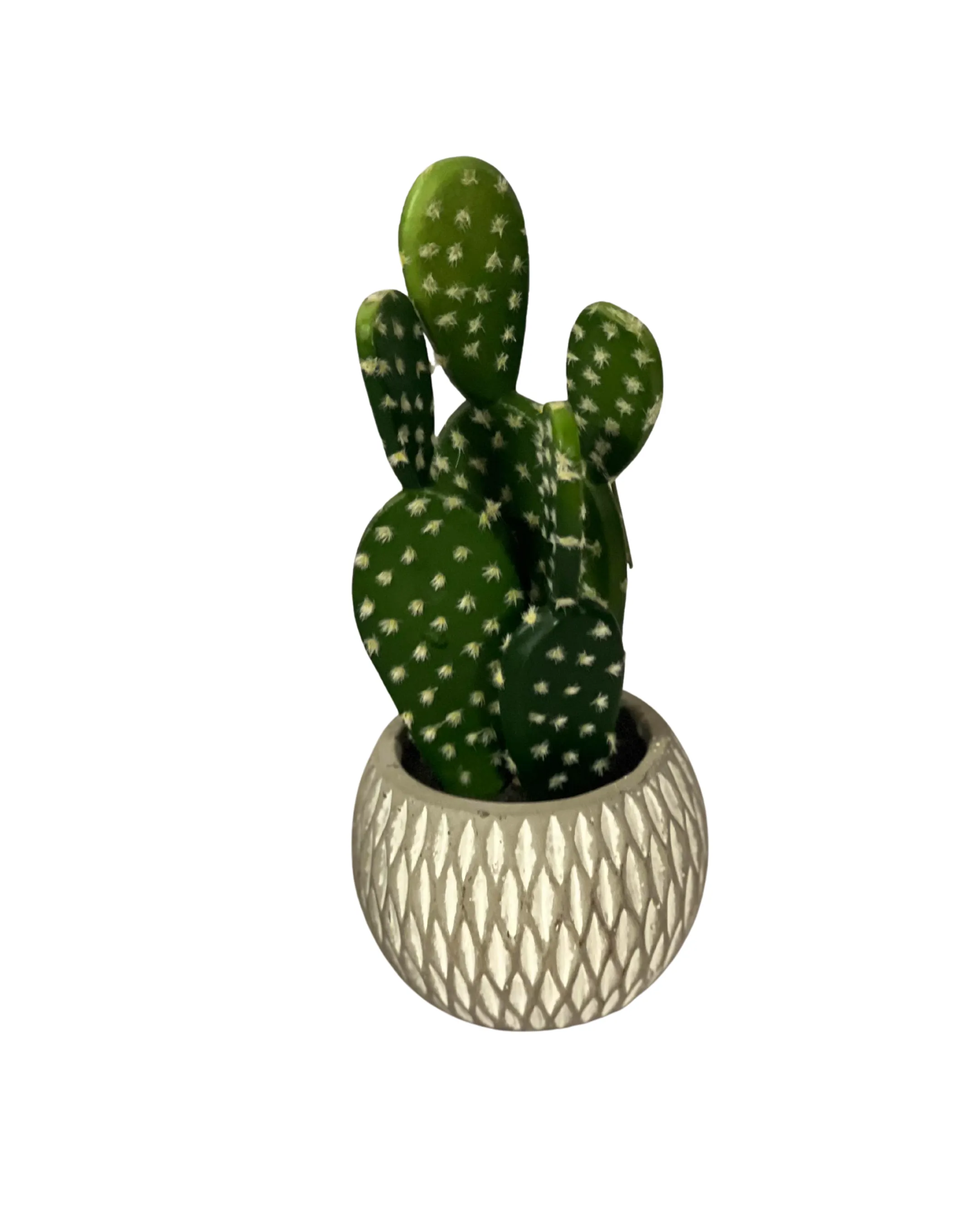 Western Cactus Round Planter