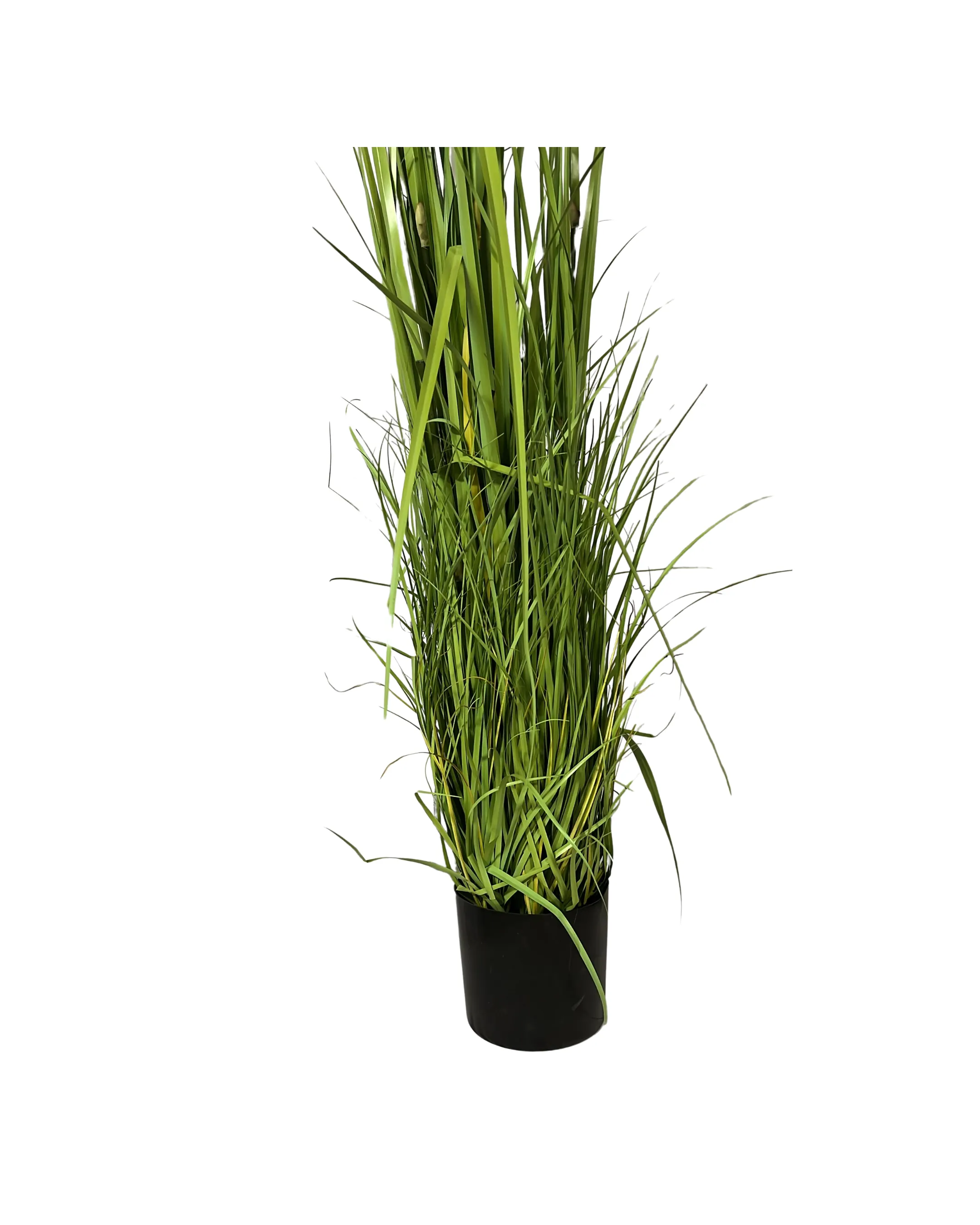 Tall Grass Planter