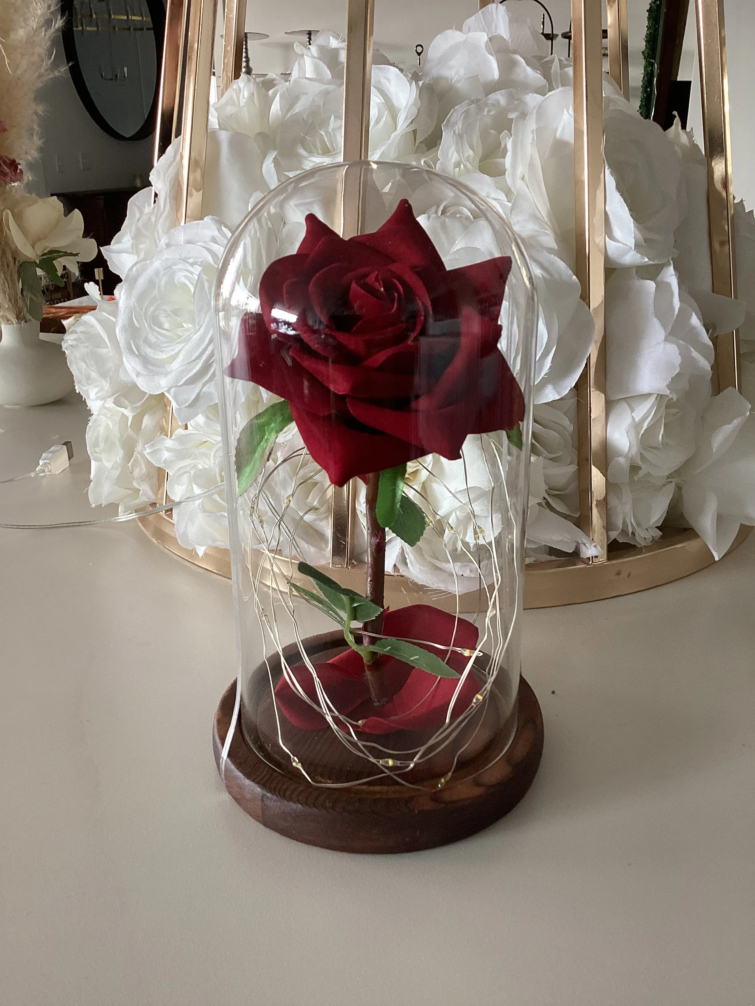 Eternal Red Rose in Dome with LED light