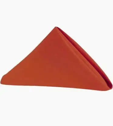 Polyester Napkin- Terracotta