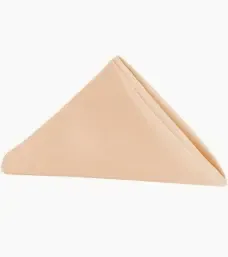 Polyester Napkin- Pretty Champagne