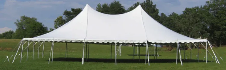 Pole Tent 40x60