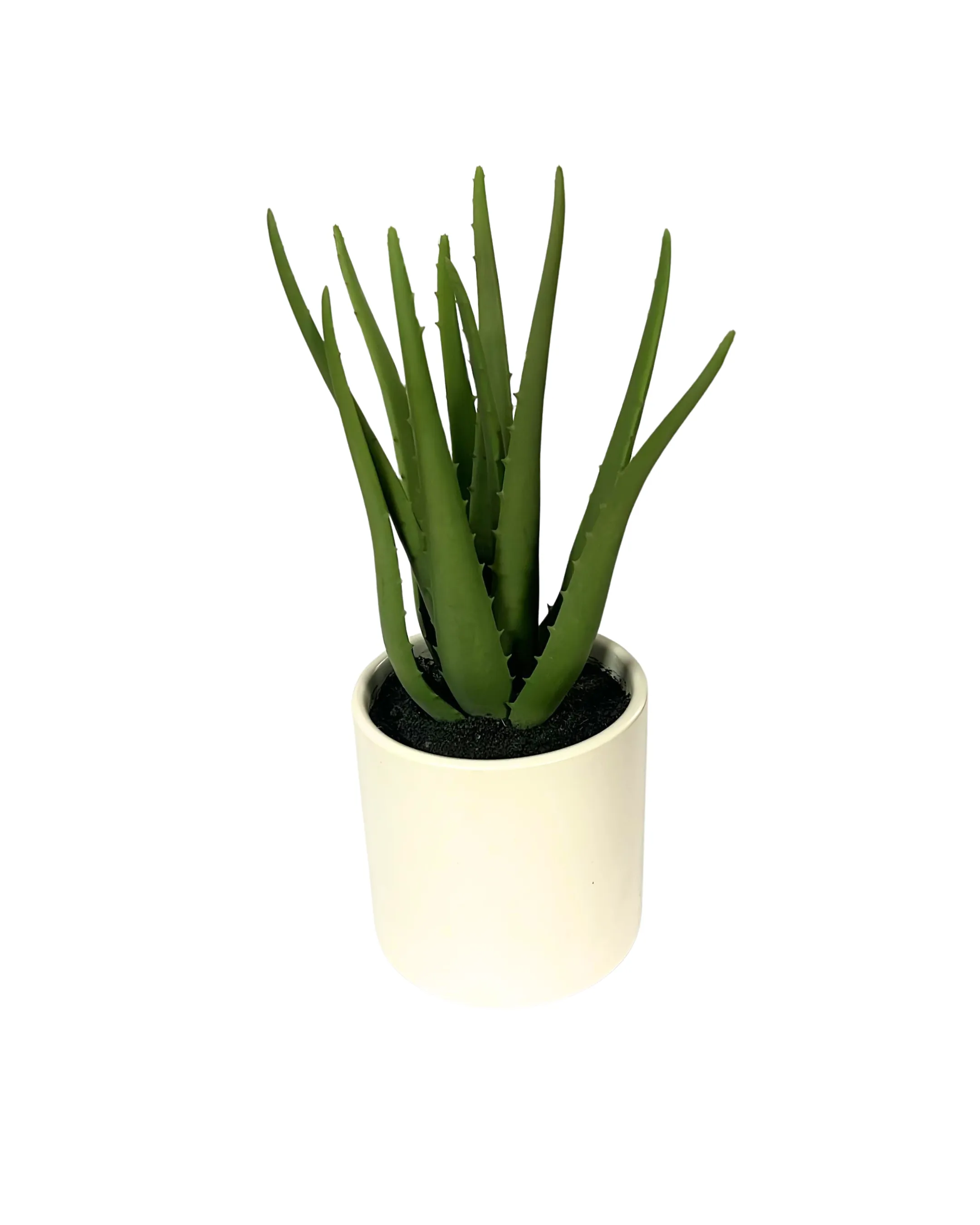 Western Aloe Planter