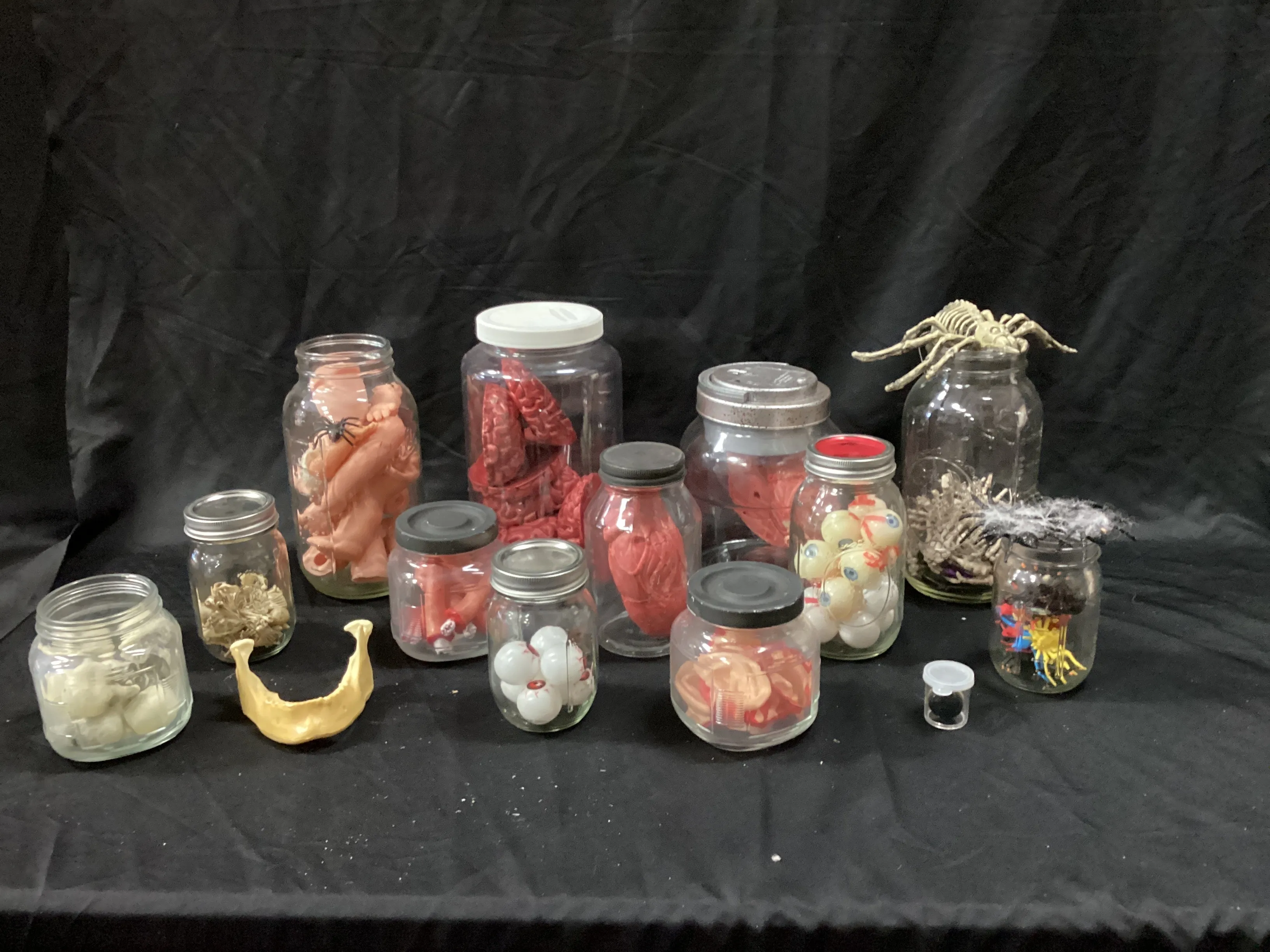 Halloween Organs (12) cans