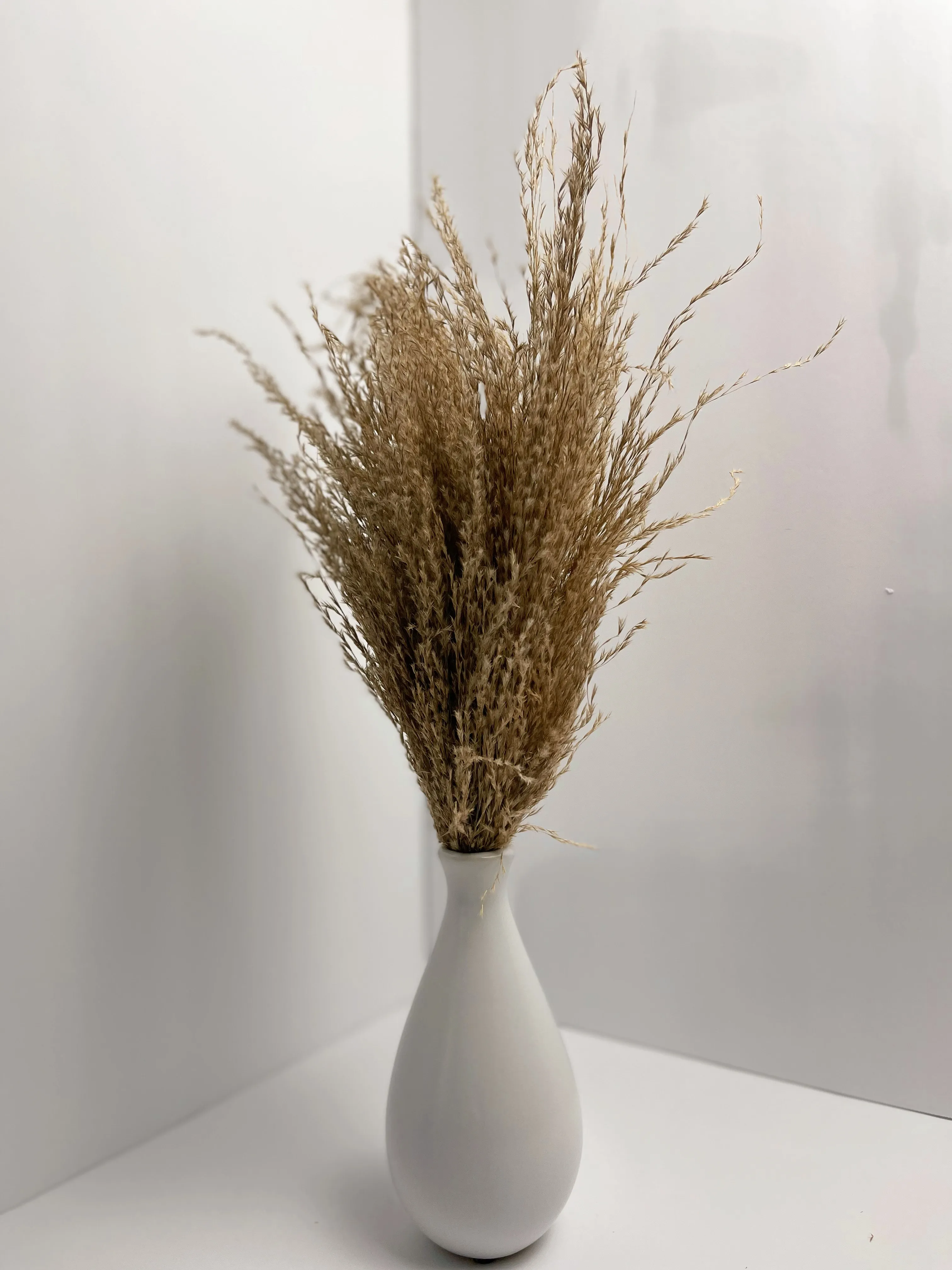 Natural Dried Fluffy Pompas 