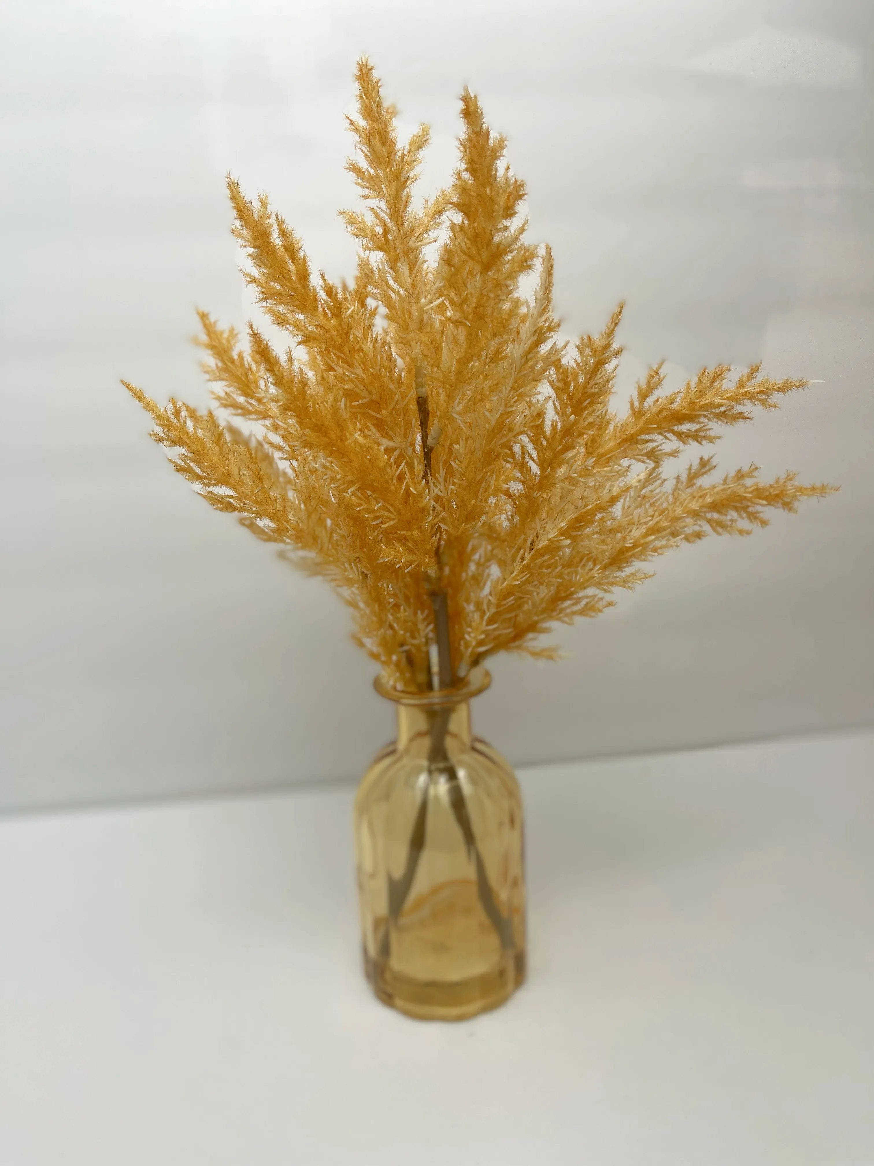 Golden Pampas Grass in Amber Vase 
