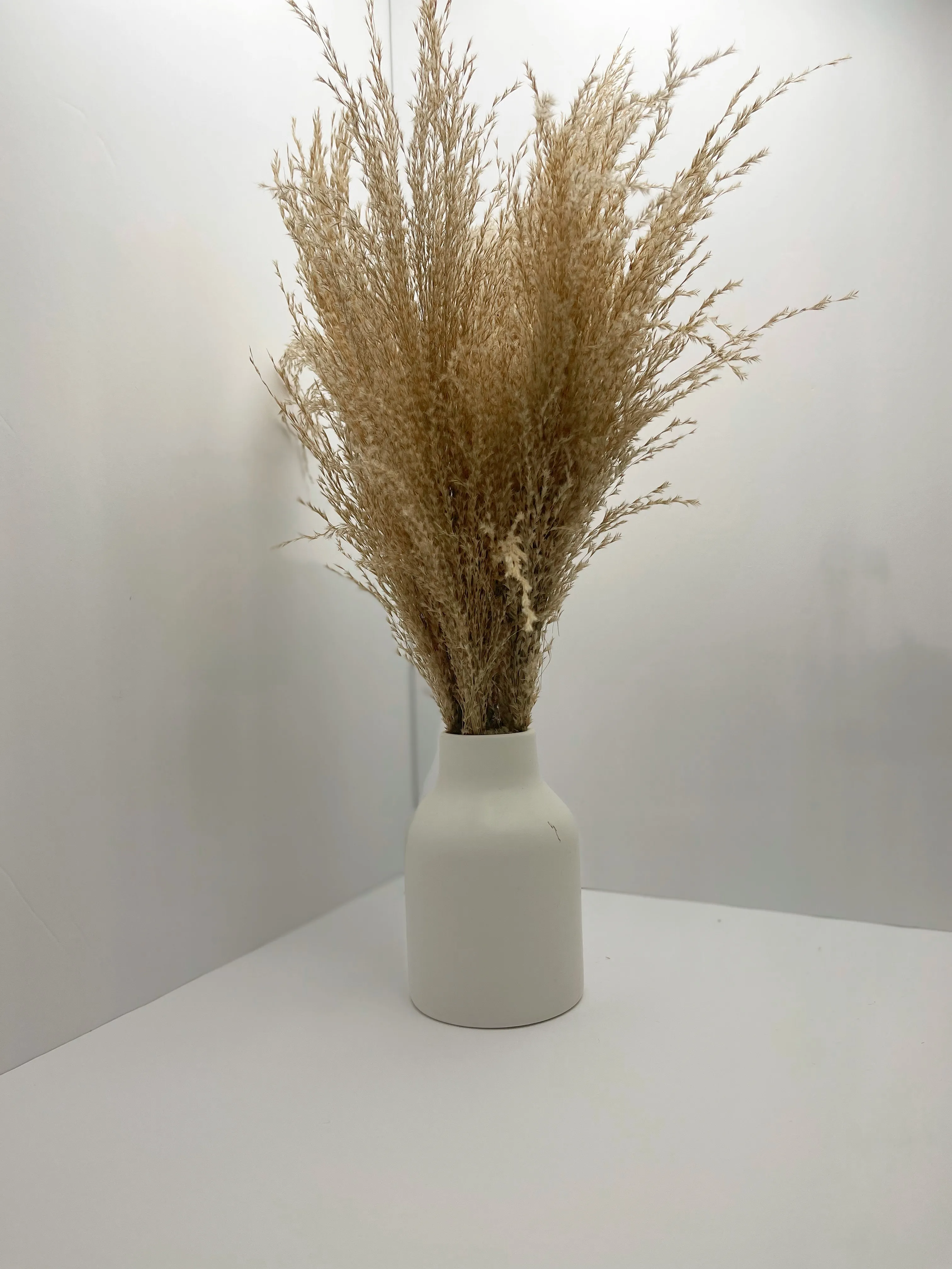 Natural Dried Pampas 