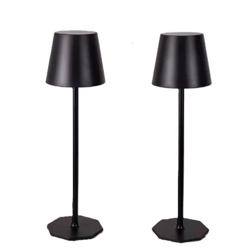 Sleek Cordless Table Lamp