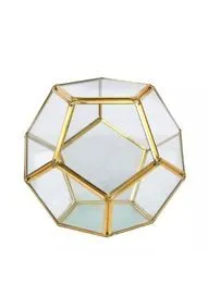Assorted Gold Geometric Terrarium