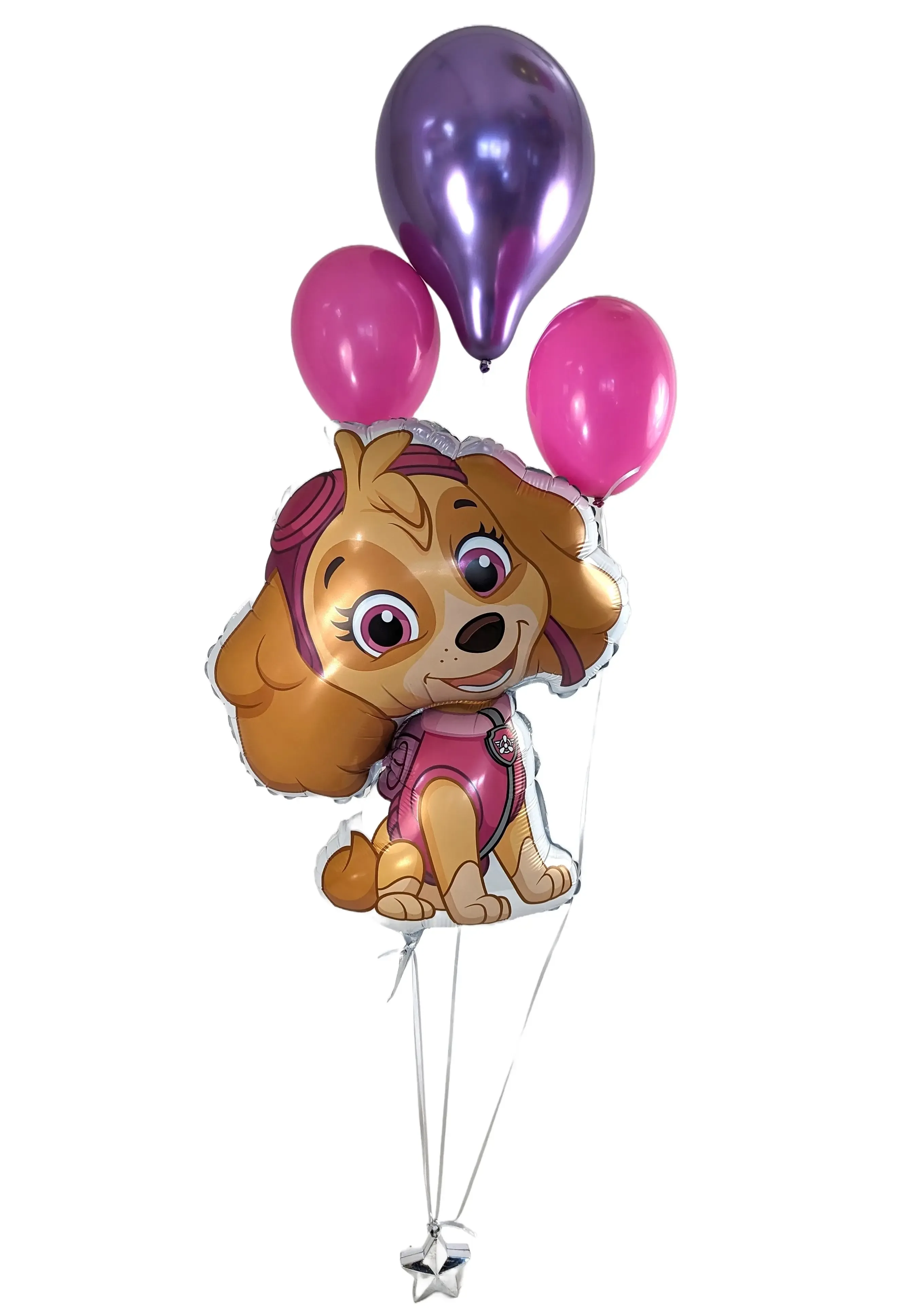 Skye Paw Patrol Strauss 