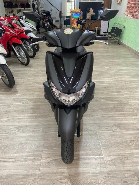 Yamaha Freego