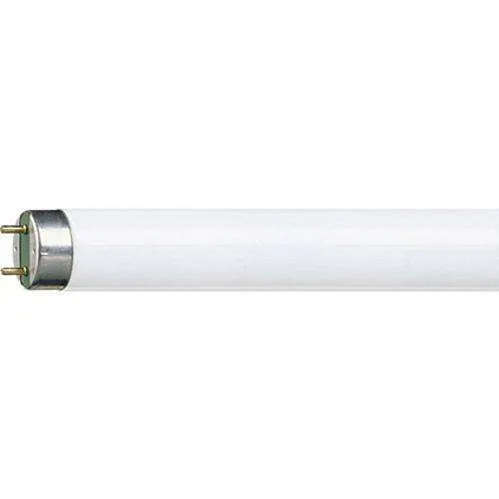 Philips 36W | 120cm - Daglicht TL buis