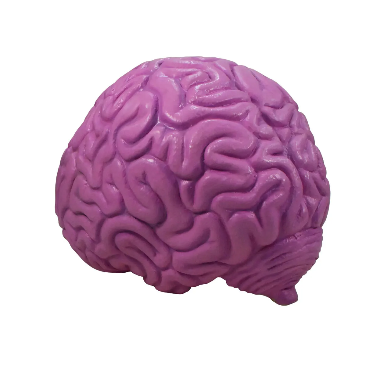Giant Brain