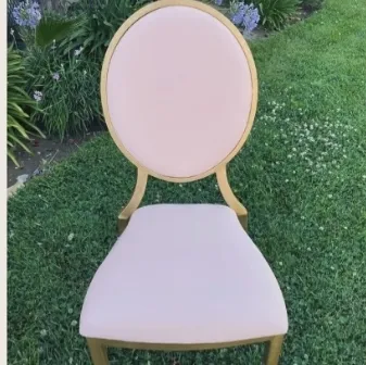 Louis Xv Chair-Gold w Color Cushion