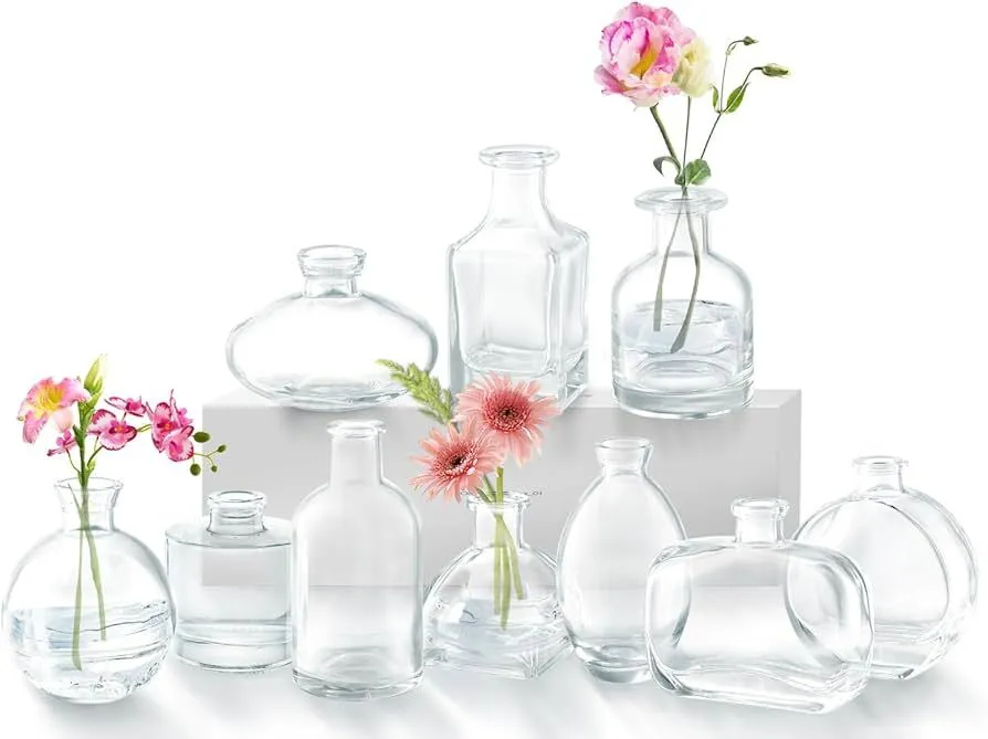 Clear Bud Vase - Assorted Sizes