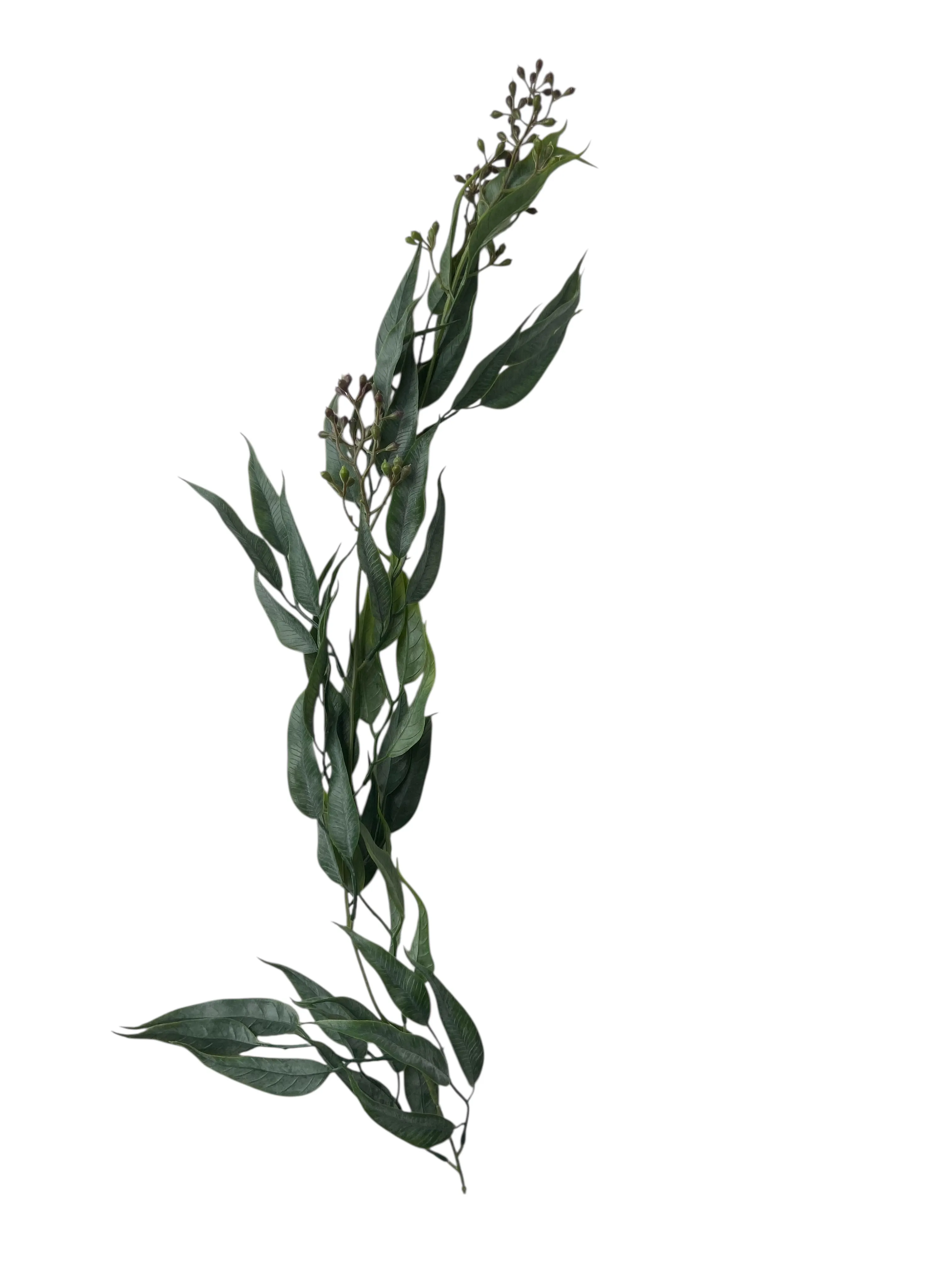 Seeded Eucalyptus Pieces