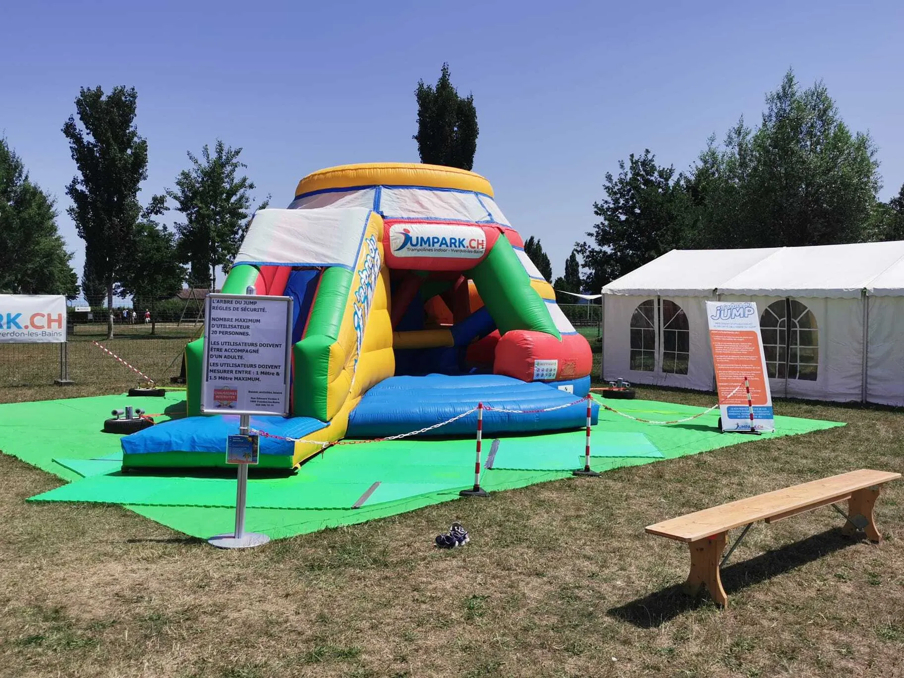 🗳️ 🏰 Climbing Tree