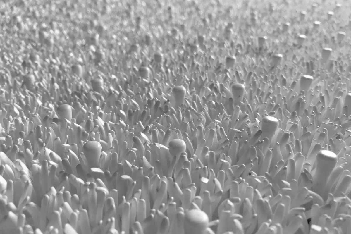 PearlSnow Dry-Slope 3m2