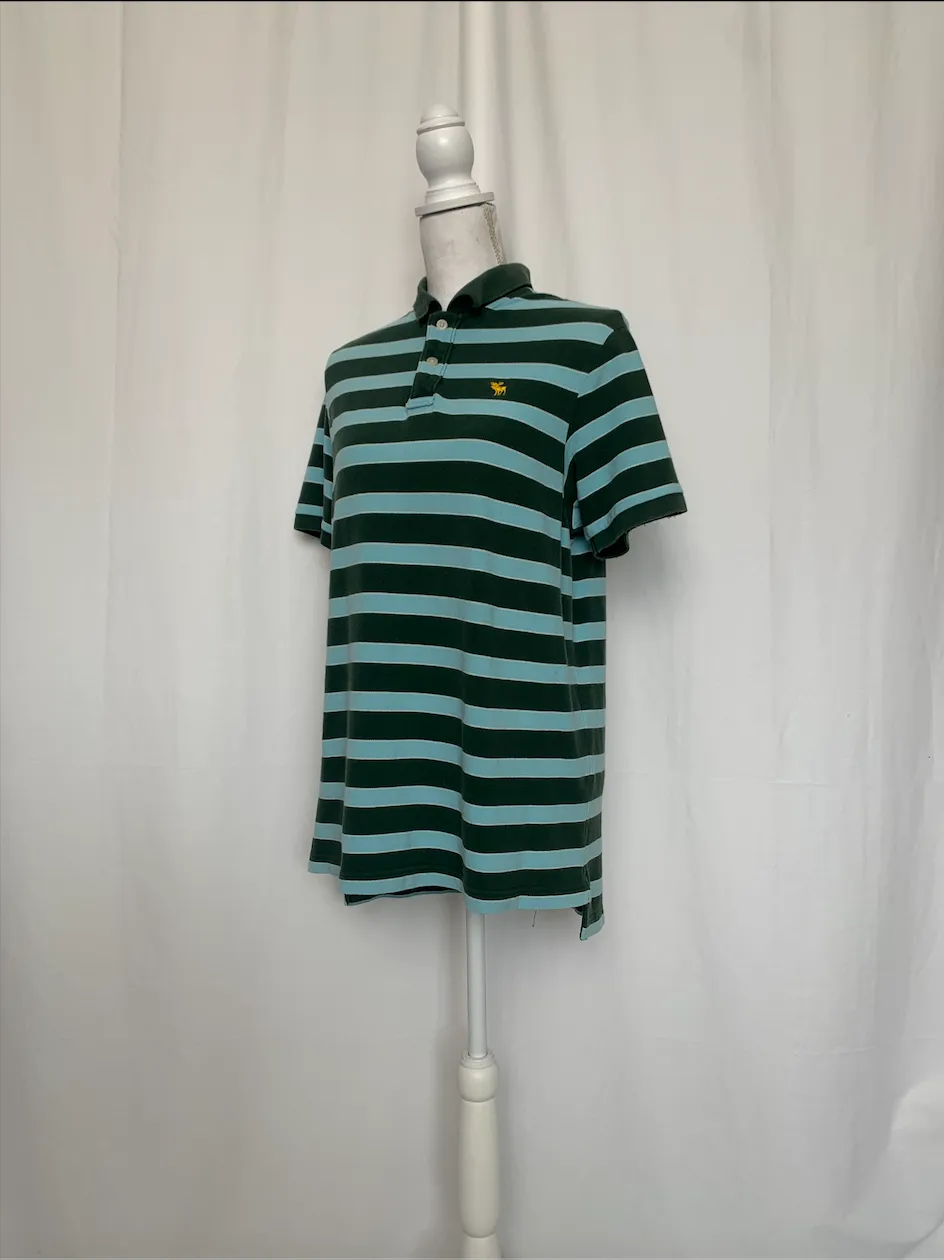 Blue and Green Striped Polo Shirt - Abercrombie & Fitch (Large)