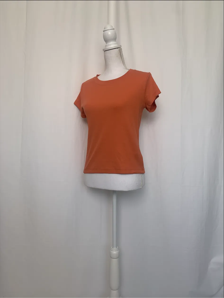 Salmon T-Shirt - Madewell (Medium)
