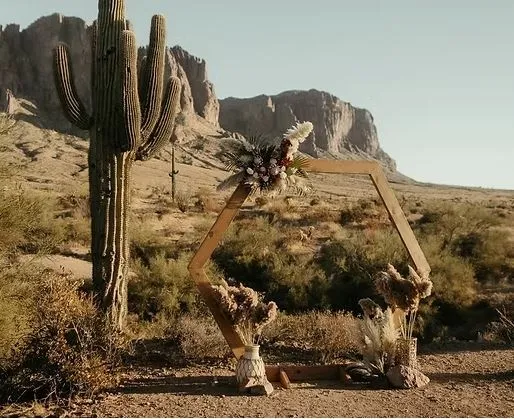 Hexagon Wooden Arch