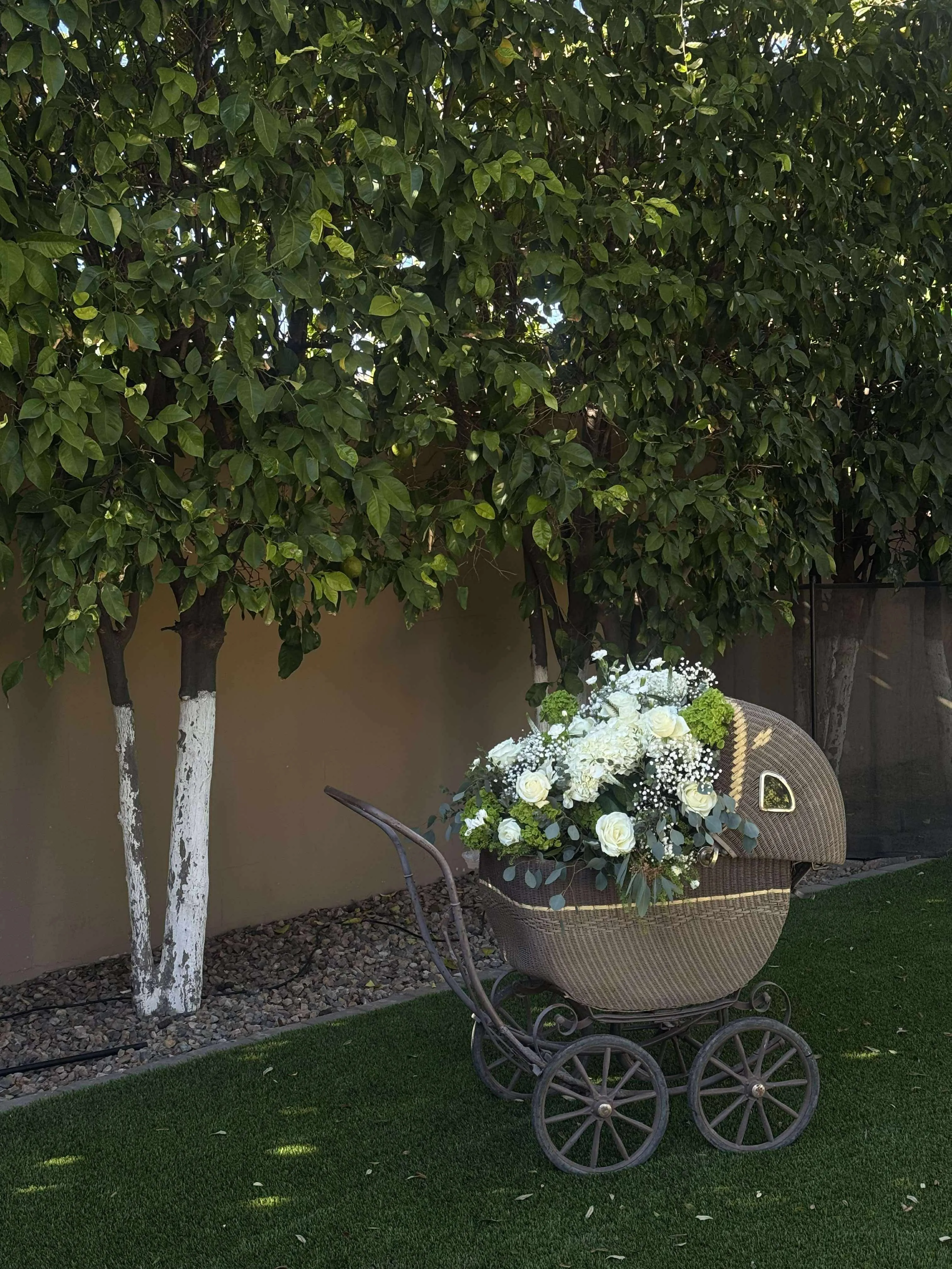 Teddy Brown Flower Carriage