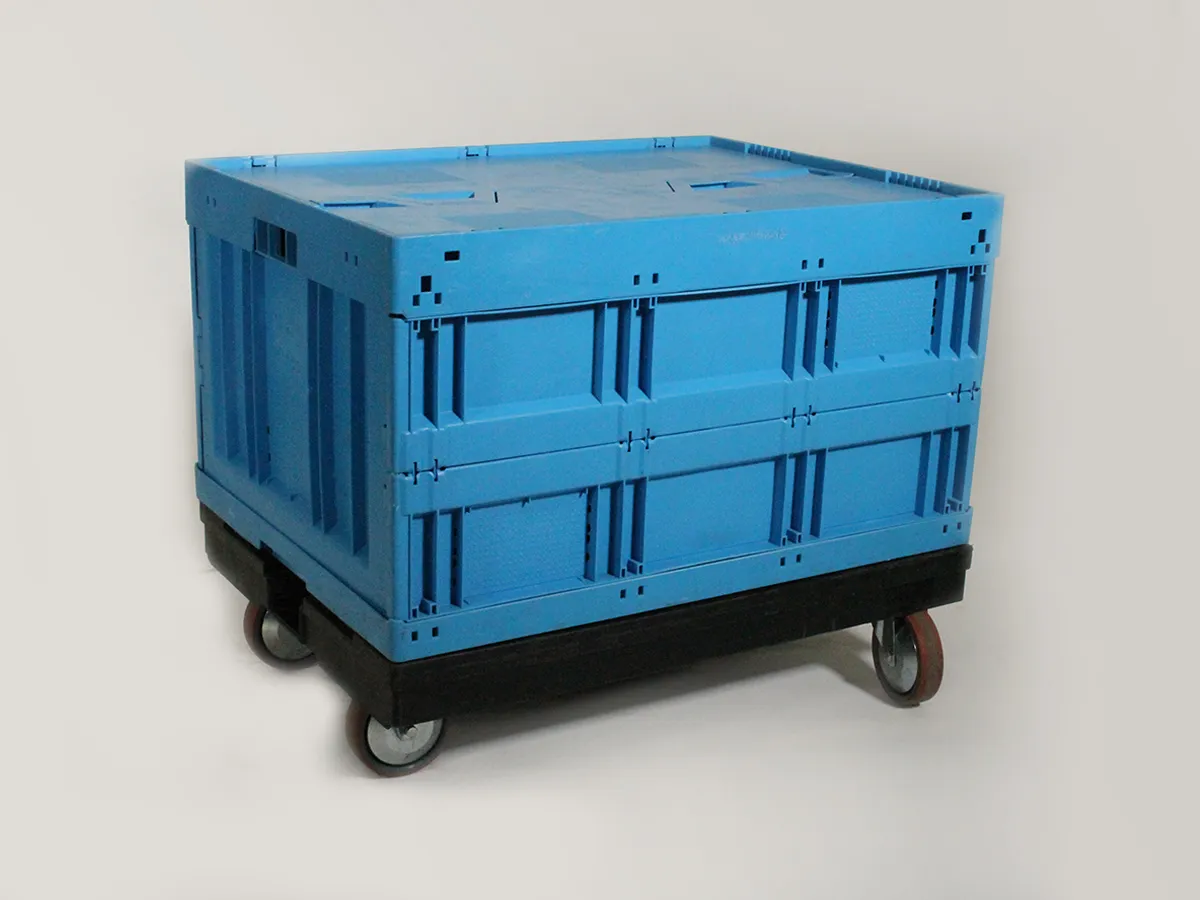 Große Knusperkiste XL