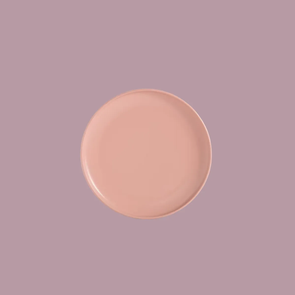 Blush Pink Dinner Plate