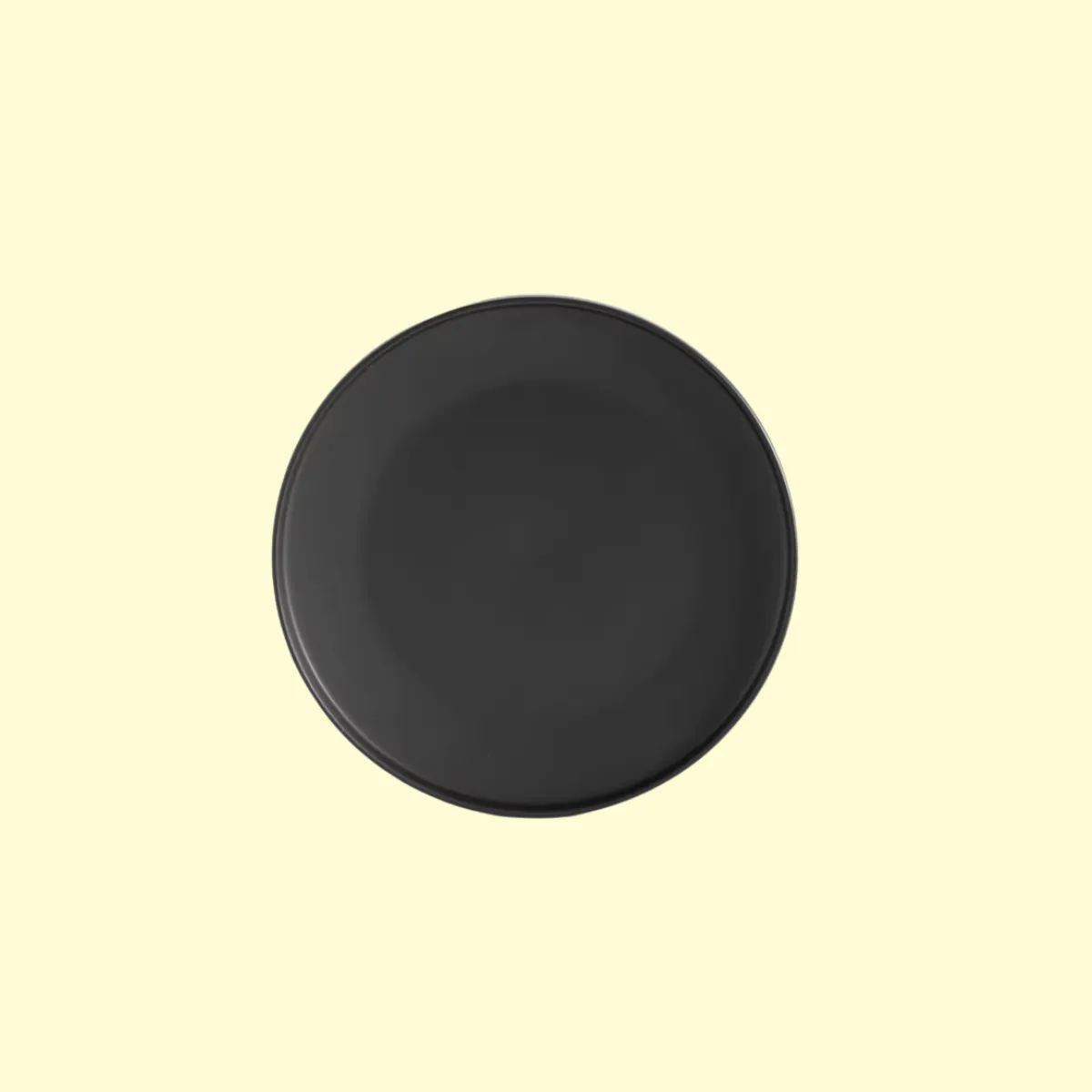 Matte Black Stoneware Dinner Plate