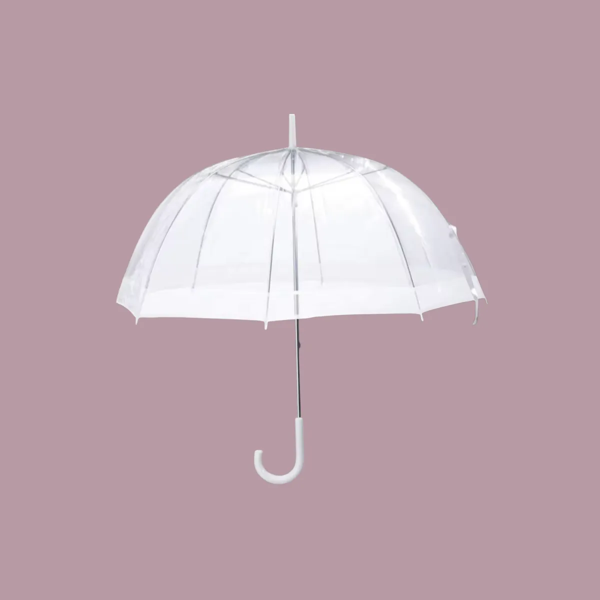 Clear Event Bubble Umbrella