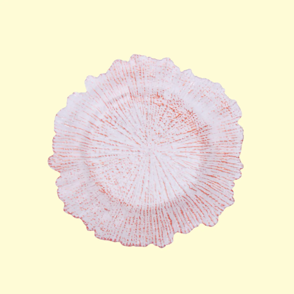 Blush Pink Translucent Charger Plates