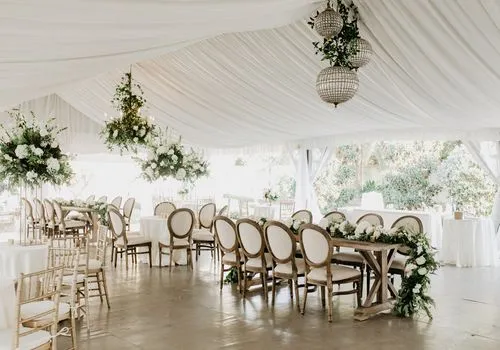 Canopy Draping 
