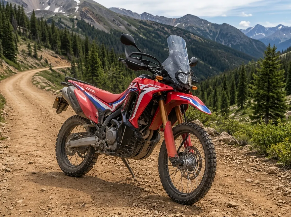Honda Rally 300l 