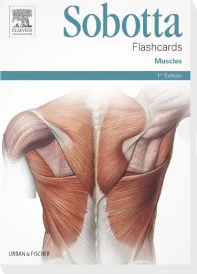Sobotta Flashcards
