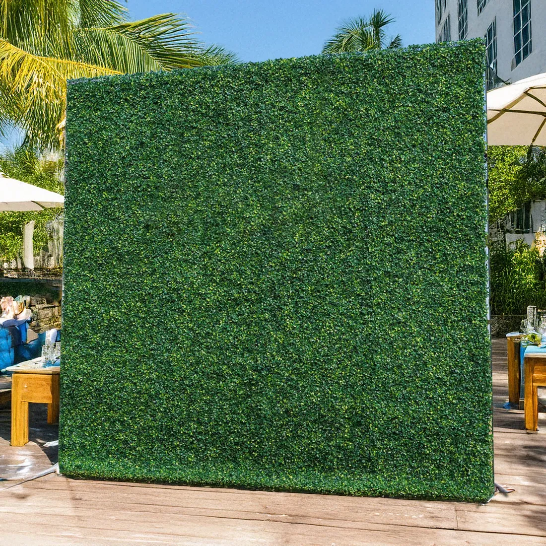 Boxwood Wall
