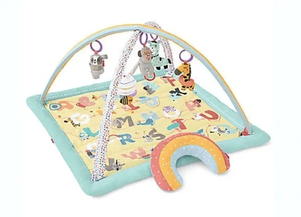 Skip Hop Baby Play Gym