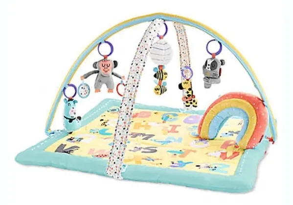 Skip Hop Baby Play Gym