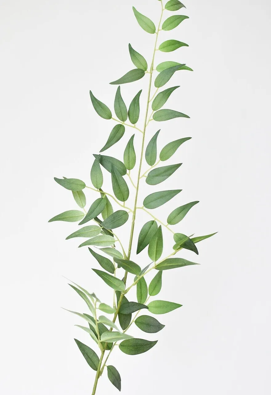 Faux Italian Ruscus 