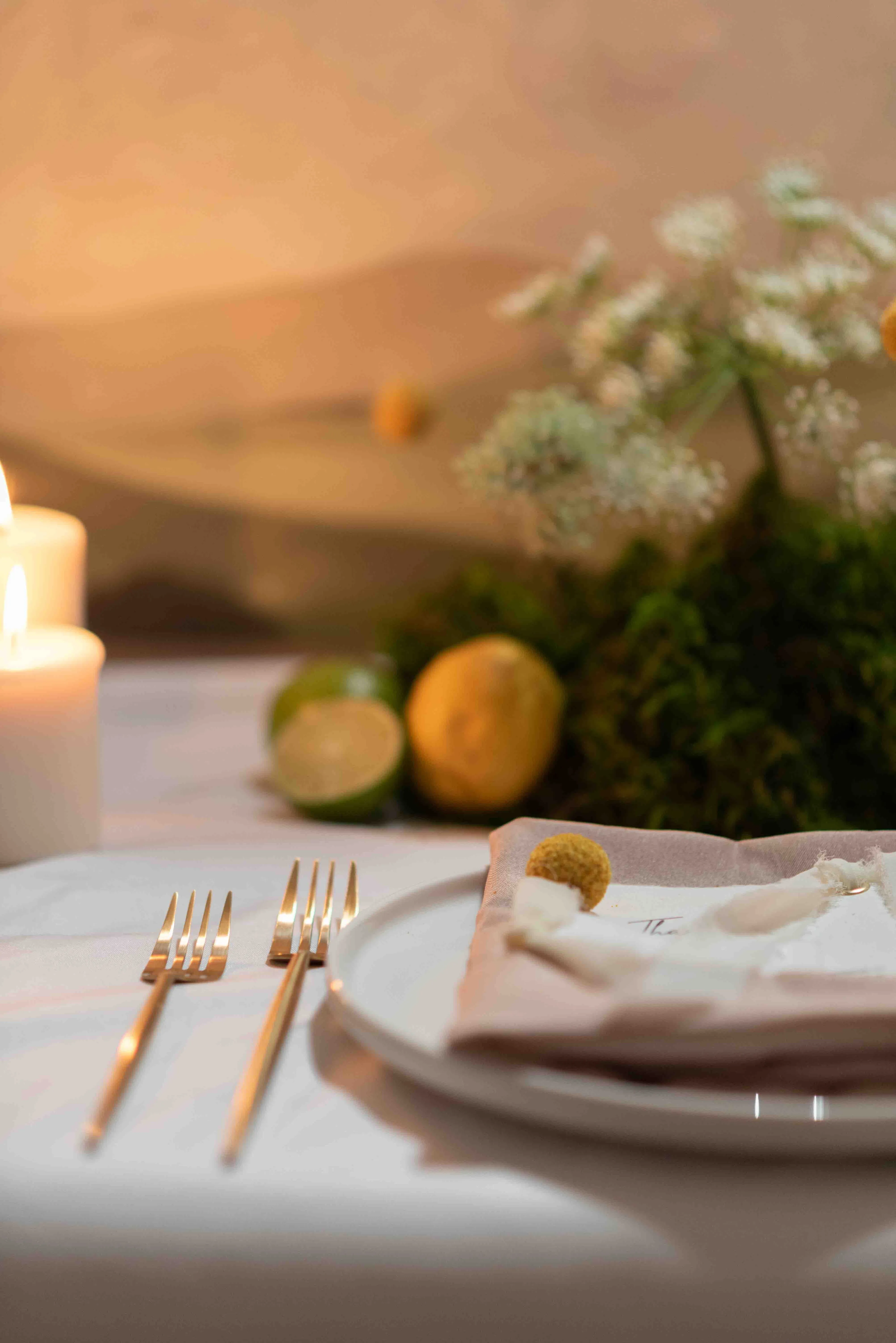 Beige Polyester Napkins